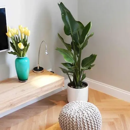 Apartamento Le Tre Finestre *
