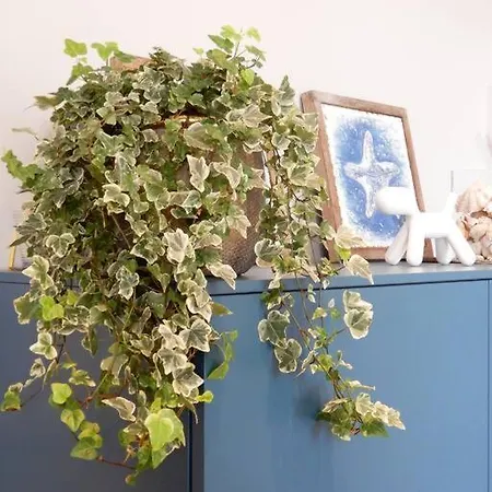 Le Tre Finestre Apartamento